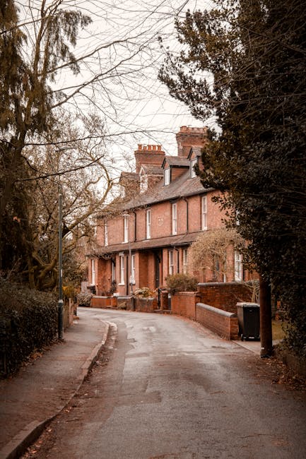 A narrow residential street in Belsize Park lined with traditional brick-built terraced houses featuring pitched roofs and chimneys. The pavement runs along the left side, bordered by a low brick wall and a row of leafless trees, indicating late autumn or winter. On the right side, a black wheelie bin is placed near the curb. The street appears quiet and empty, with no vehicles or people visible. Overhead, the sky is overcast, casting diffuse light over the scene. This setting illustrates an ideal location for home removals, where careful loading and transportation of furniture and boxes with equipment like trolleys, blankets, and vans, as provided by Belsize Park Removals, would be suitable for navigating narrow streets during a house move or furniture transport service.
